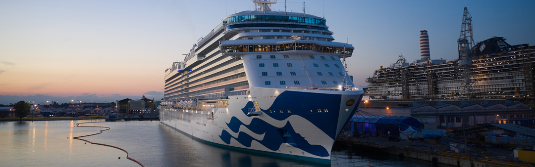 Enchanted Princess - Princess Cruise