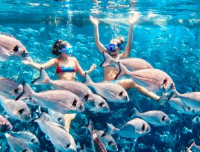 Bluetopia-A-Marine-Biology-Experience_No-Logo-23
